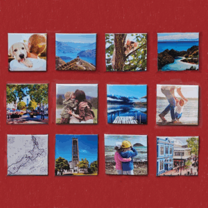 Photo Magnets - Set of 12